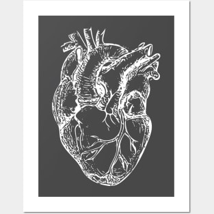 White Anatomical Heart Posters and Art